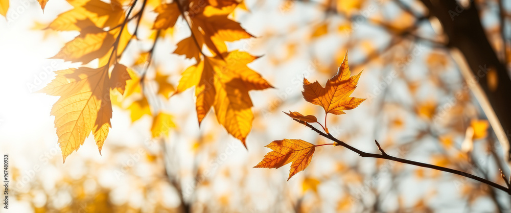 Sticker Golden Autumn Leaves