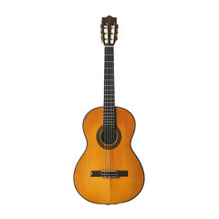 Obraz premium acoustic guitar isolated on a transparent background