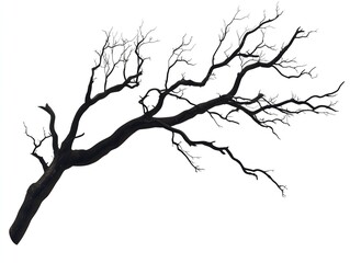 Fototapeta premium Isolated Bare Tree Branch with Dark Silhouette on White Background - Minimalistic Nature Element Perfect for Artistic, Abstract, and Natural Themes