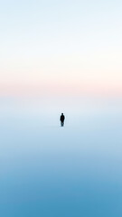 Obraz premium Man in Fog