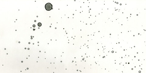 Author's artistic abstractions. Watercolor and alcohol inks. Modern art. Processed in Photoshop