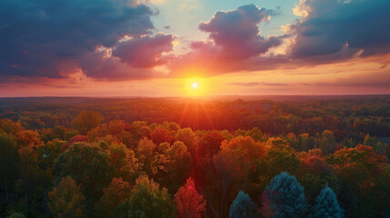 sunset autumn forrest