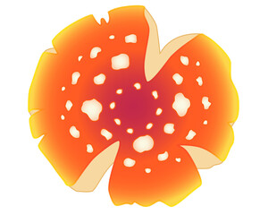 Fly agaric, spotted mushroom cap - vector full color picture. Fly agaric bright poisonous mushroom	