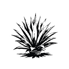 Fototapeta premium agave stencil vector hand drawn illustration