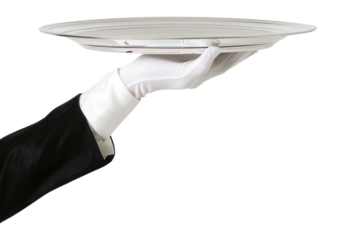 PNG Elegant silver glove white.