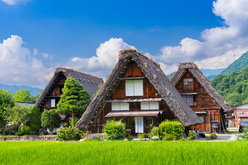 Shirakawa Village in Japan During Summer Season