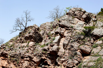 Closeup of brown bedrock formation with plants and grass as groundcover. Texture. Background.