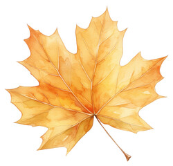 Fototapeta premium PNG Yellow and orange autumn leaf plant maple tree.