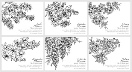 Vector set of cards with branches of blooming spring trees. Blooming apple and cherry trees, jasmine, sakura, wisteria, magnolia
