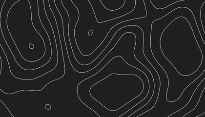Topographic pattern texture. Topographic Map. Geographic topography vector illustration. Abstract circle lines background. Abstract blank detailed topographic contour map.