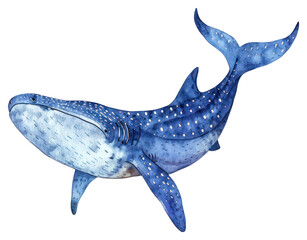 PNG  Majestic watercolor whale illustration