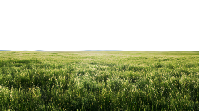 Lush green grass field under a clear sky during daytime isolated on transparent background - Powered by Adobe