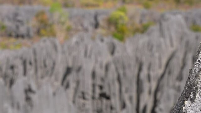Tsingy de Bemaraha, rock formations in Western Madagascar