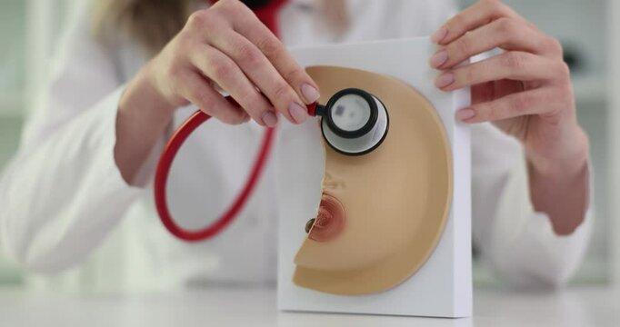 Mammologist applies stethoscope to realistic breast model