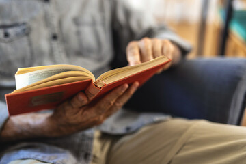 Senior man enjoys reading book alone in the living room. Old man alone at home.