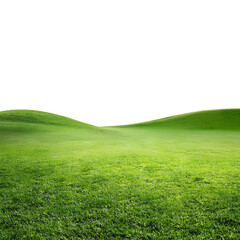 Obraz premium Realistic grassfield landscape outdoors nature