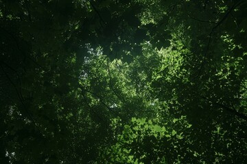 Stunning Blue Sky Background with Tranquil Forest Canopy Scene in a Peaceful Forest Environment