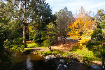 Warburton Autumn Gardens in Australia