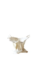 Splashing White Liquid on Png Background.
