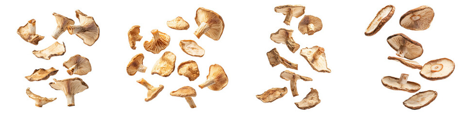 falling dried porcini mushrooms on white background, transparent background