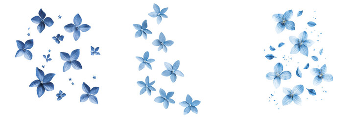 falling blue star blossoms on white background, transparent background