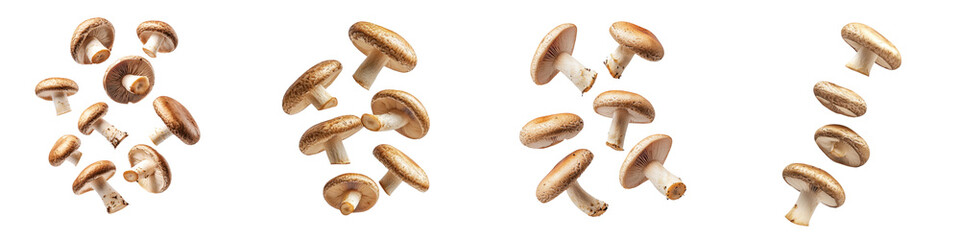 falling shiitake mushroom caps on white background, transparent background