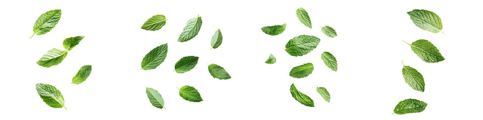 Naklejka premium falling fresh spearmint leaves on white background, transparent background