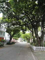 Une rue de Medellin en Colombie, vide malgré le temps très clair. La route est bordée de végétation luxuriante typique.