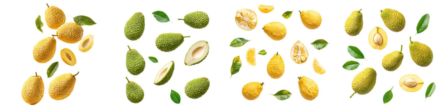 falling ripe monkey jack fruits on white background, full depth of field,transparent background