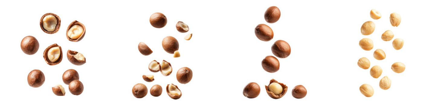 falling ripe macadamia kernels on white background, full depth of field,transparent background