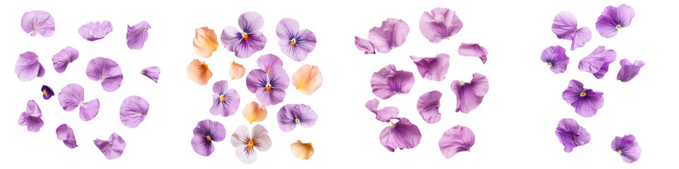 falling pansy petals on white background,transparent background