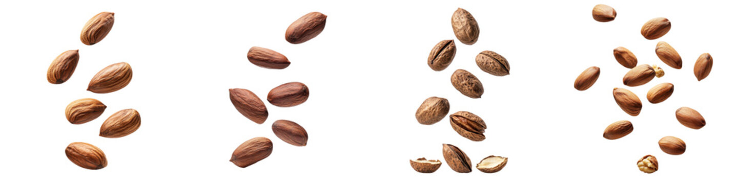 falling ripe afara nuts on white background, full depth of field,transparent background