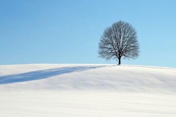 Obraz premium A lone tree in a vast, open field of pure white snow 