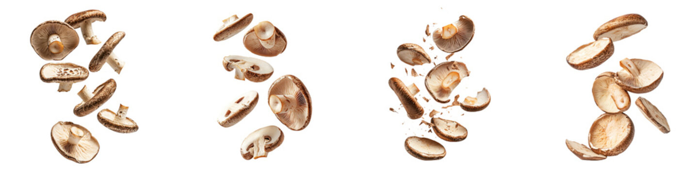 falling shiitake mushroom slices on white background,transparent background