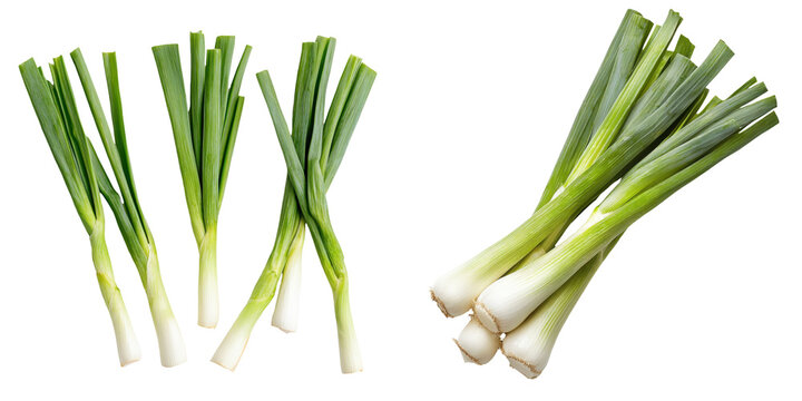 falling wild leeks on white background,transparent background