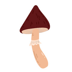 Hand drawn mushroom. Autumn vibes, forest, food. Vector simple flat design isolated on white background