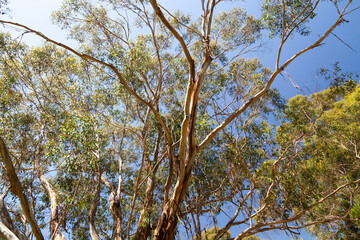Hanging Rock in Macedon Ranges in Australia
