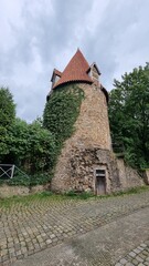 cat tower, bad salzuflen