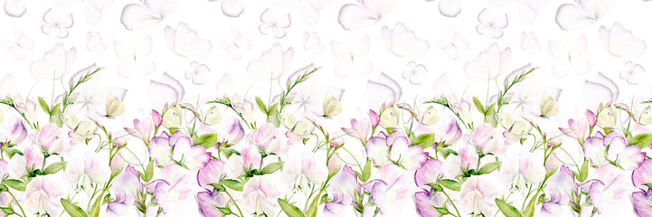 Sweet Pea Flower. Seamless pattern of Watercolor Fragrant Pea Flower and Butterflies on a white background. The illustration is hand drawn. Suitable for card designs, textiles and scrapbooking.