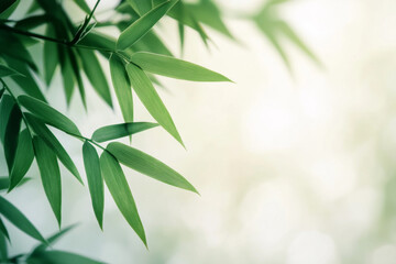 Naklejka premium Bamboo Leaves on Soft Green Background