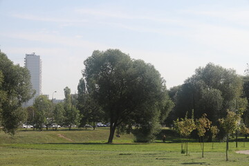 Landscape park in South Butovo in Moscow, September 2024, 2