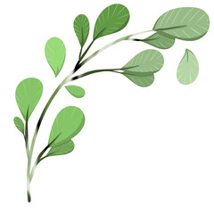 plants in simple flat design. Tropical leaves and isolated on white background illustration.