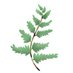 Fototapeta premium plants in simple flat design. Tropical leaves and isolated on white background illustration.