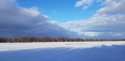 Obraz premium winter landscape with trees