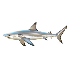 Shark swimming in the ocean illustration, cut out transparent