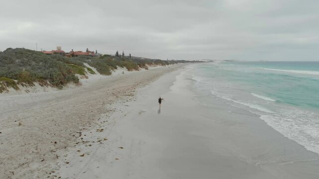 Aerial view of a serene beach with a man walking his dog along the sandy dunes and calm sea, Geraldton, Australia.