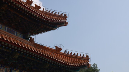 Fototapeta premium china