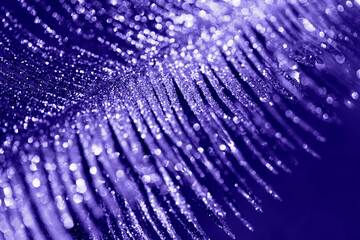 Abstract composition made of a decorative branch closeup. Shiny festive and holiday background. Celebration and party concept.