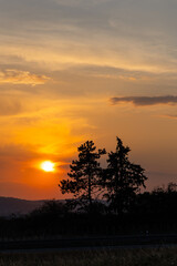 Orange sunset sun getting down amongs the trees over the road in the shade. Dramatic orange sky during the susnset.