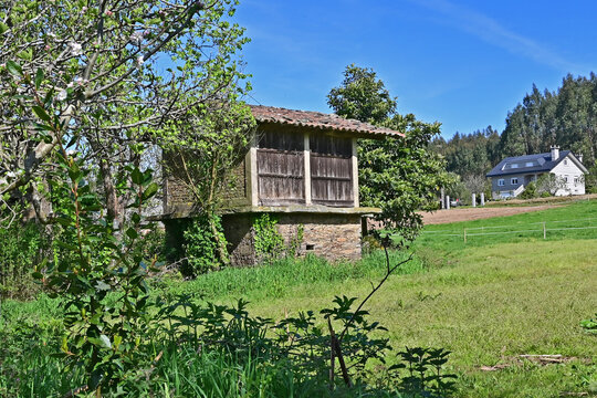 Paesaggi un vecchio Horreo sul cammino Primitivo di Santiago di Compostela fra Arzua e Santiago - Galizia, Spagna